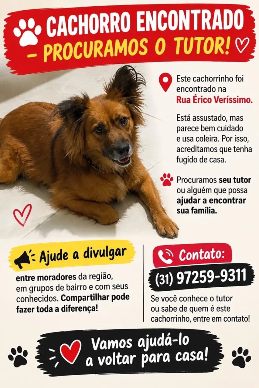 CACHORRO ENCONTRADO
