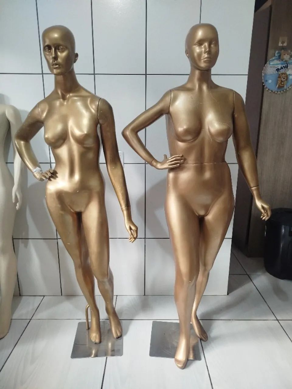 Manequins de fibra conjunto slim e plus size