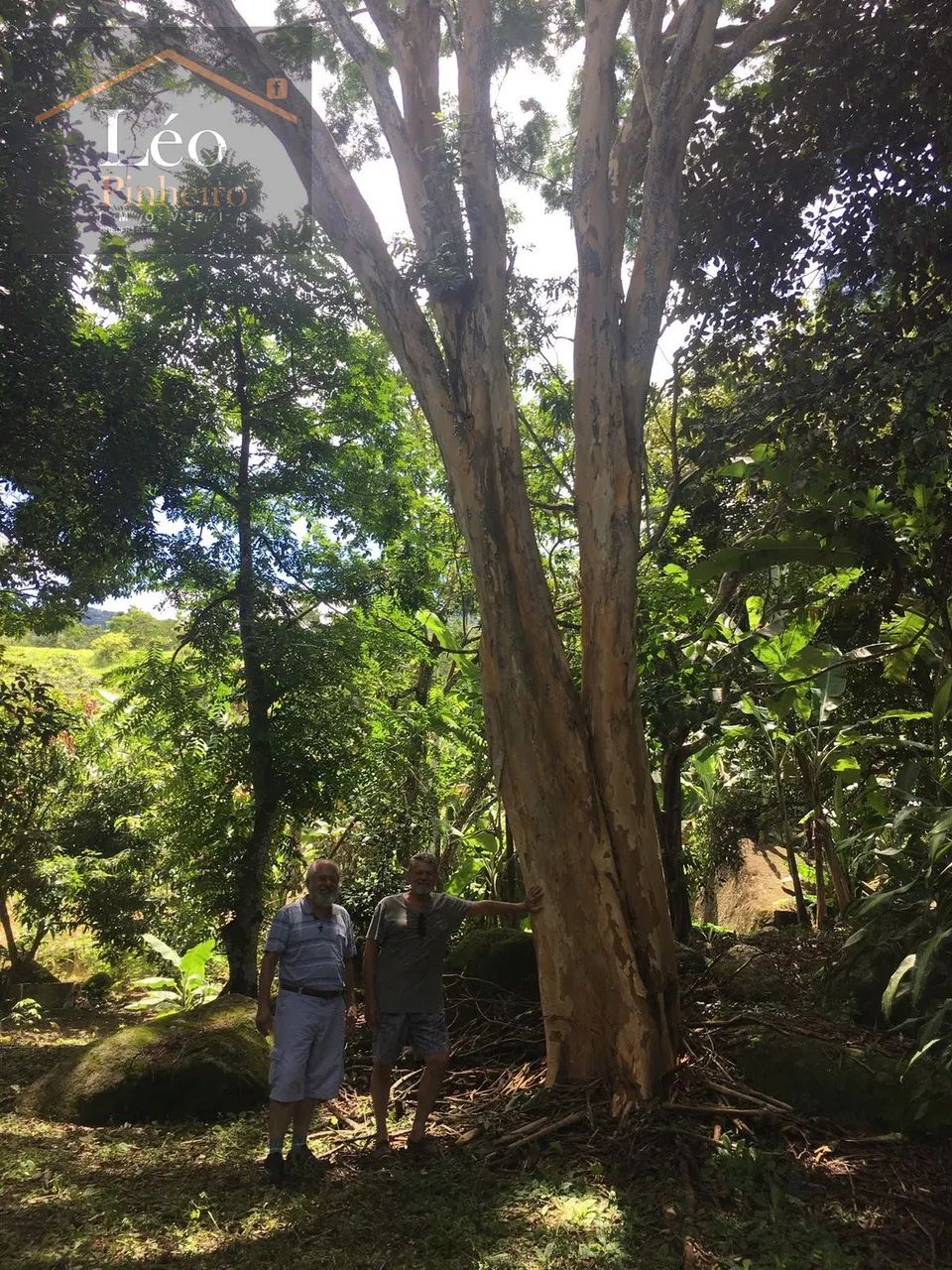 Sítio em Areia Branca - Macaé - Foto 4