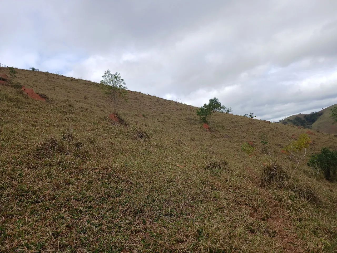 Vendo sitio em são luiz do paraitinga  - Foto 5
