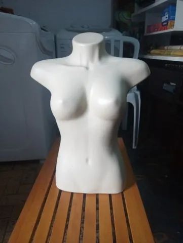 busto feminino  - Foto 2