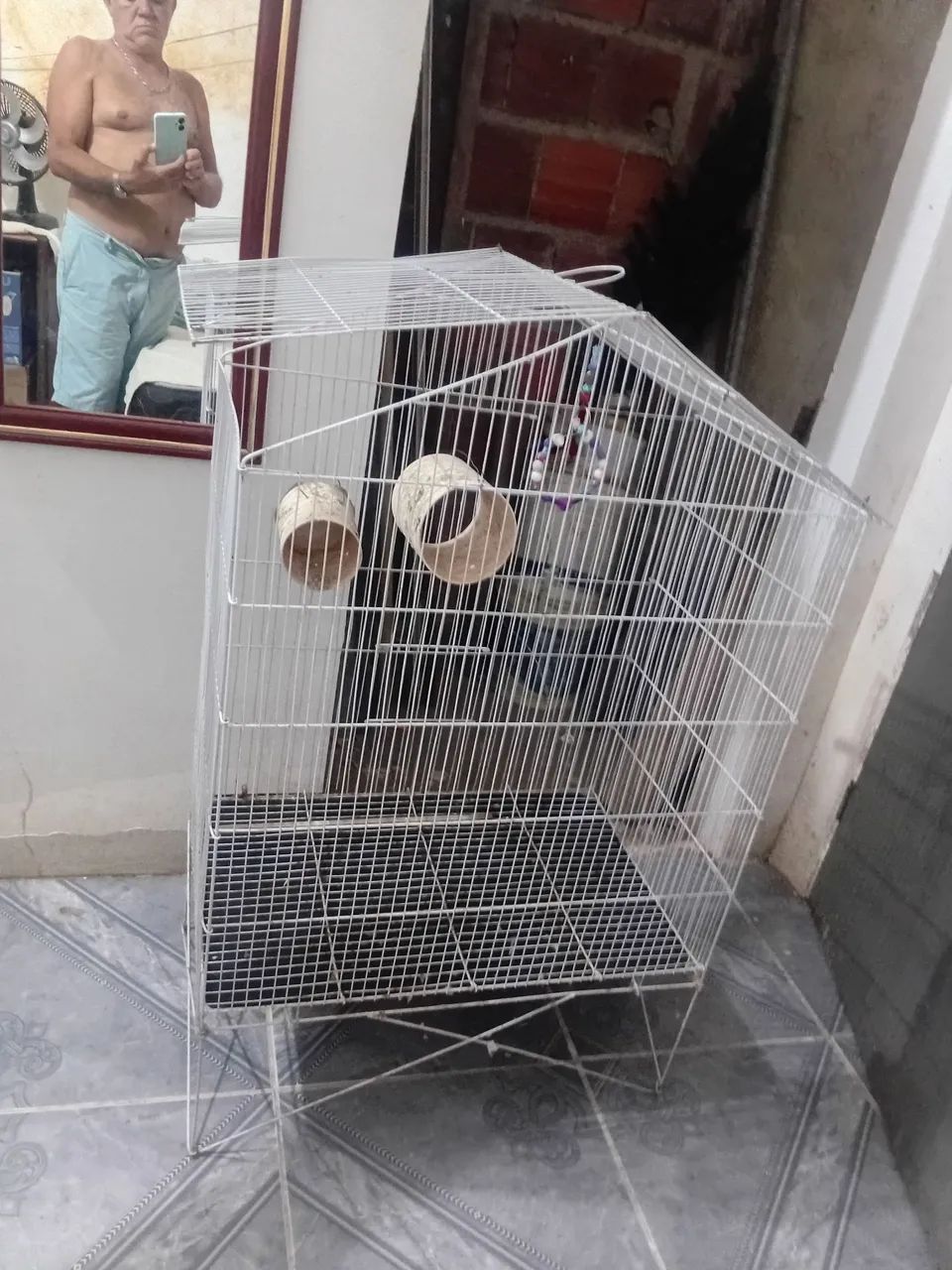 Viveiro pra calopsitona 