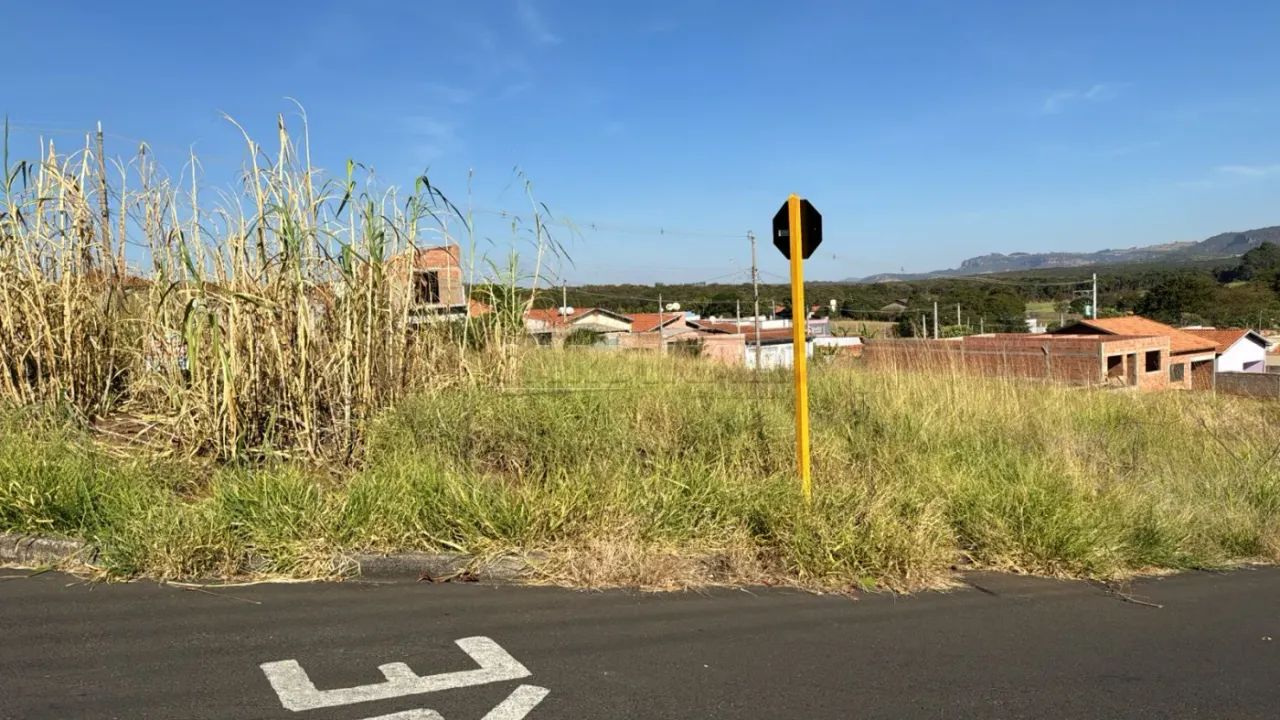 Terreno Padrão em Descalvado - Foto 2