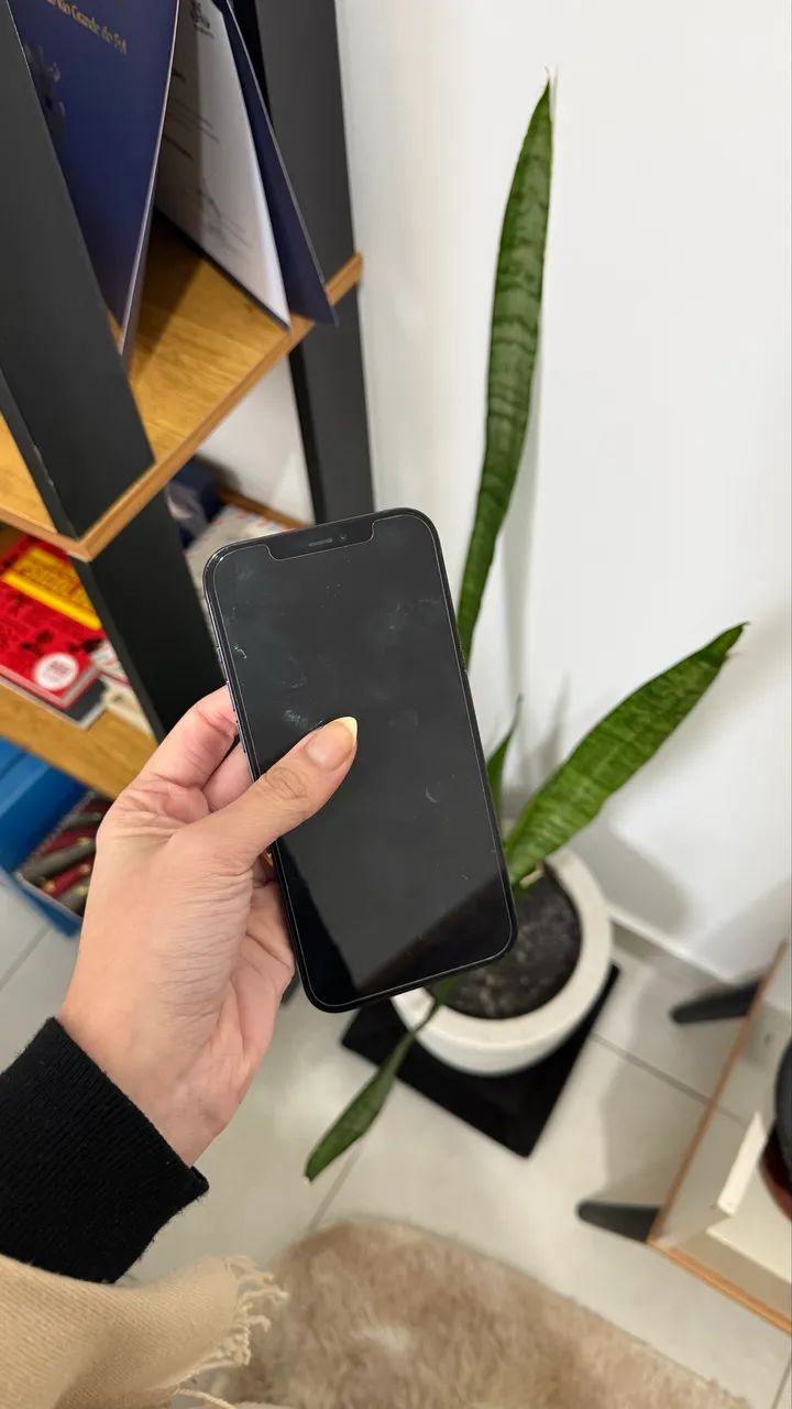 iPhone 12 Pro Max 256gb