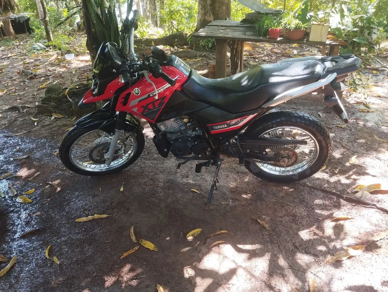 Moto  - Foto 3