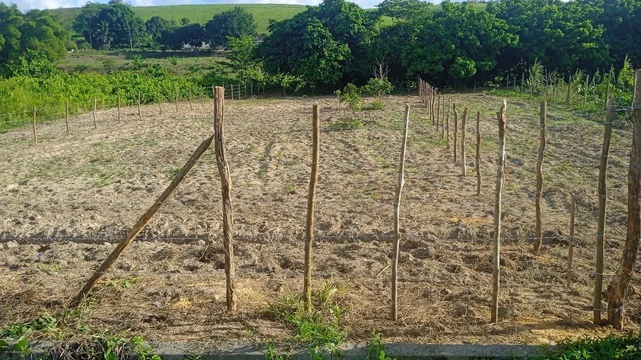 Excelente oportunidade em loteamento próximo ao centro de Flexeiras!  - Foto 3
