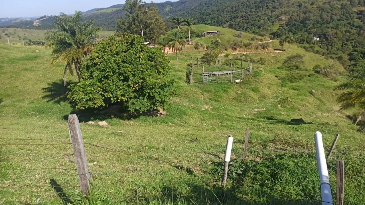 TERRENO A VENDA EM AMPARO - Foto 5