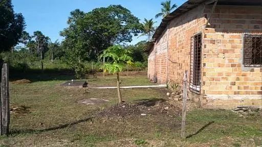 SITIO EM BRAGANÇA  - Foto 5