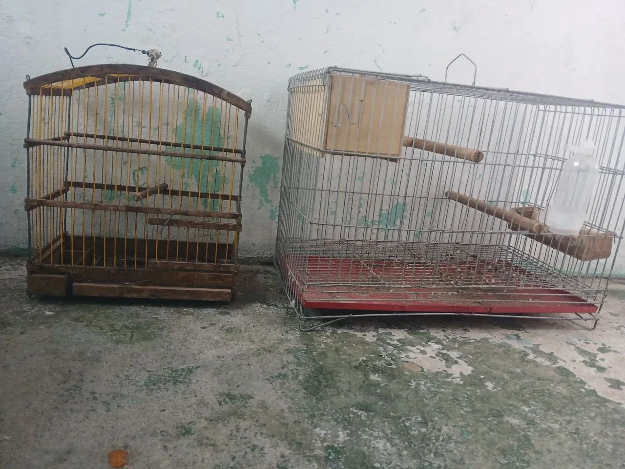Gaiola - Foto 2