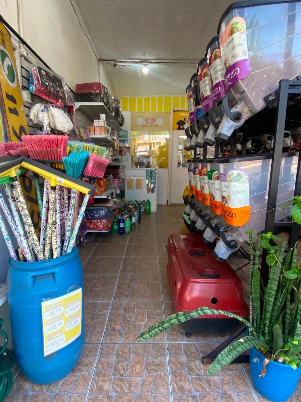 PASSO PONTO PET SHOP (Av Imperador) - Foto 3