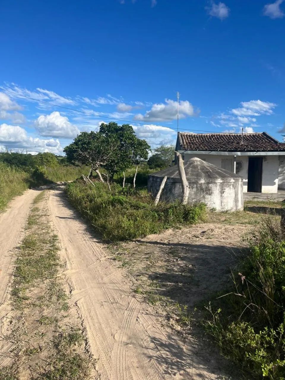 Vende-se sítio  - Foto 2