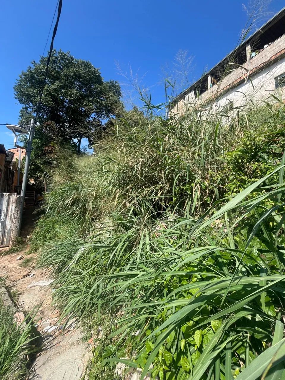 Lote no beco - Foto 2