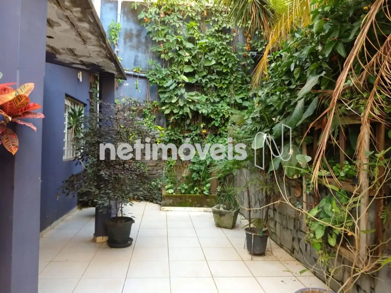 Venda Casa Padre Eustáquio Belo Horizonte - Foto 3
