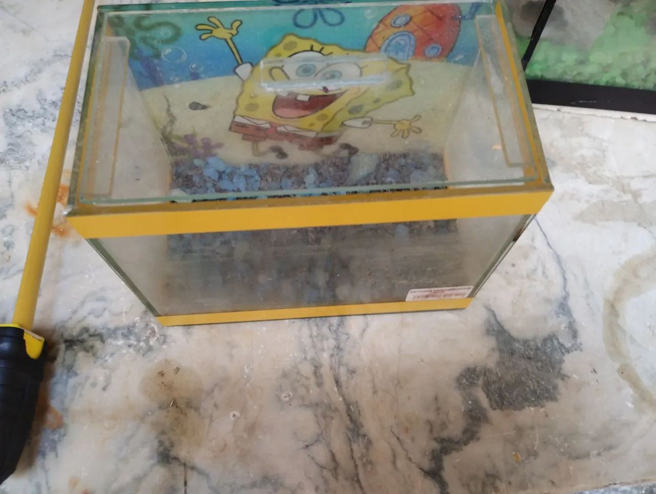 Aquário Beteira(Bob Esponja)