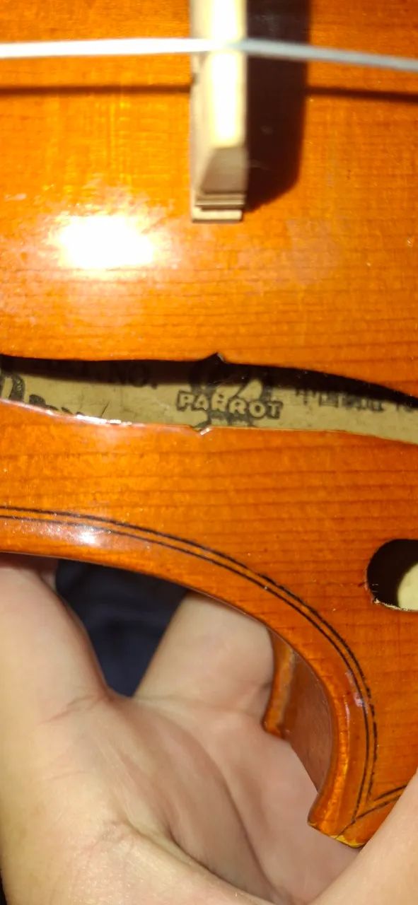 Violino Parrot 4/4