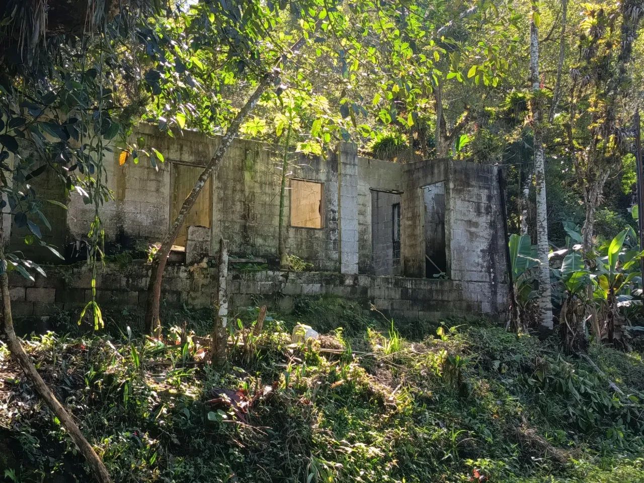 Chácara sem casa Itariri SP - Foto 2