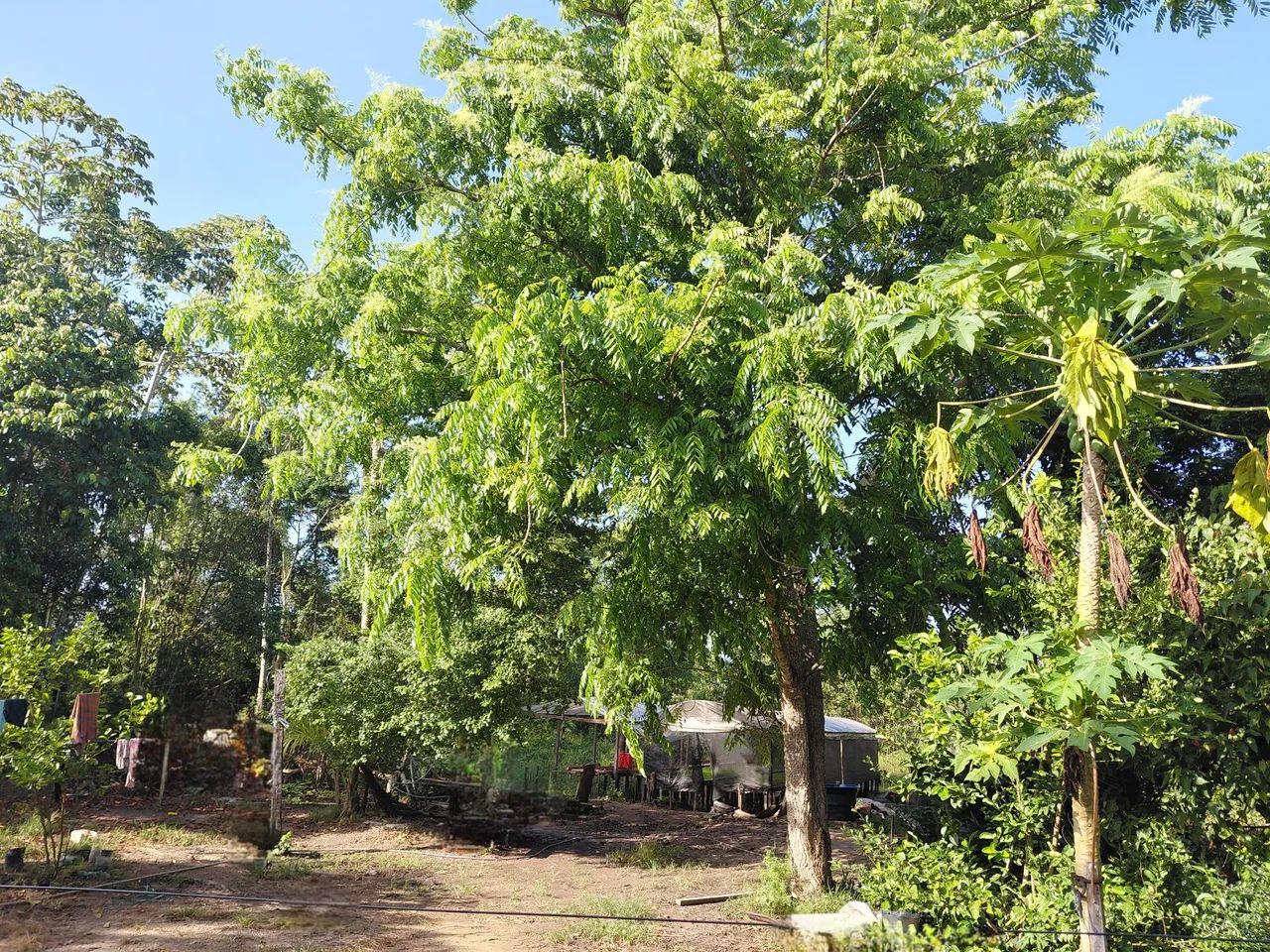 Terreno a venda  - Foto 4