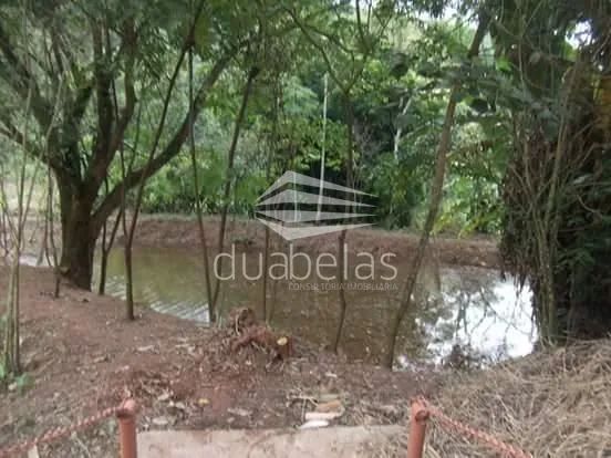 SITIO A VENDA EM MONTEIRO LOBATO - Foto 3