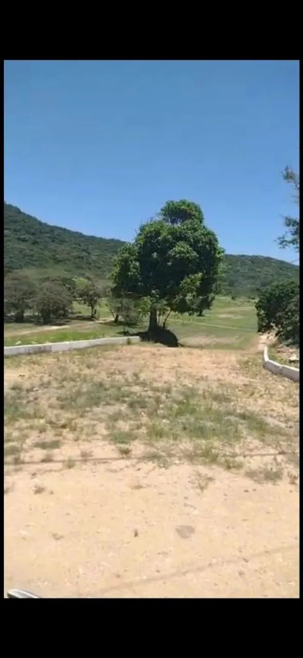 Terreno - Foto 4