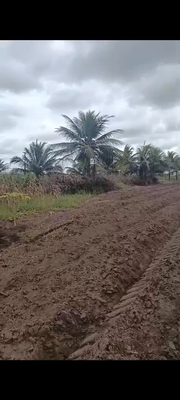 Vendesse terreno - Foto 3