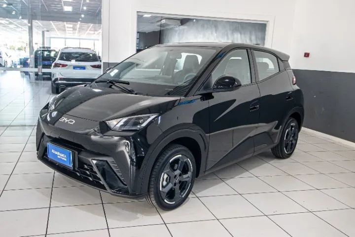 BYD Dolphin Mini (Elétrico) 2025 - Foto 3