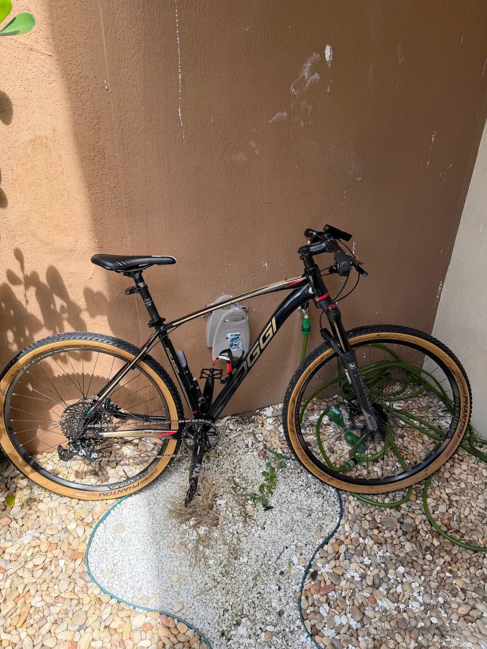 Bicicleta oggi 7.5