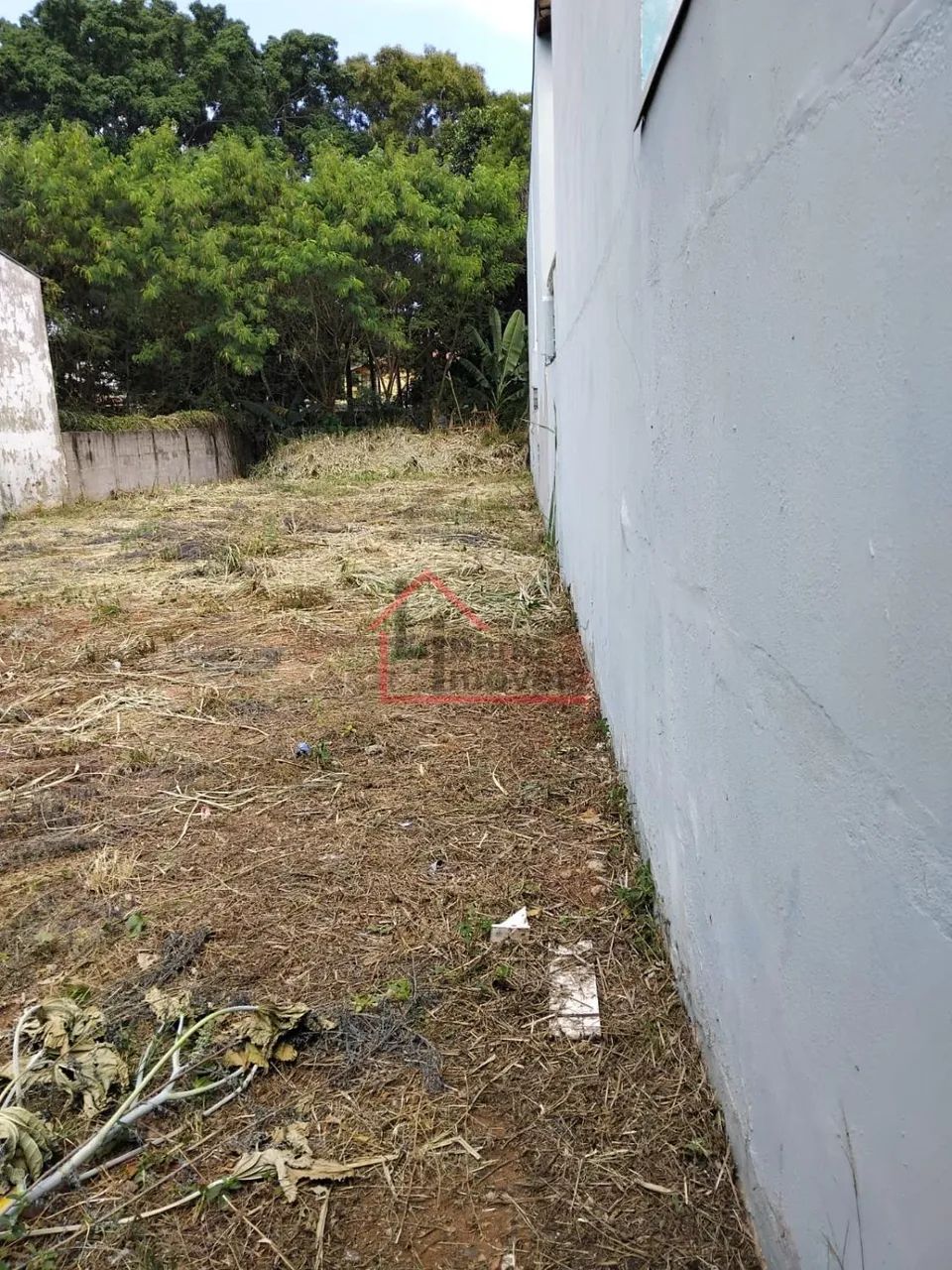 terreno - Cidade Universitária - Campinas - Foto 4
