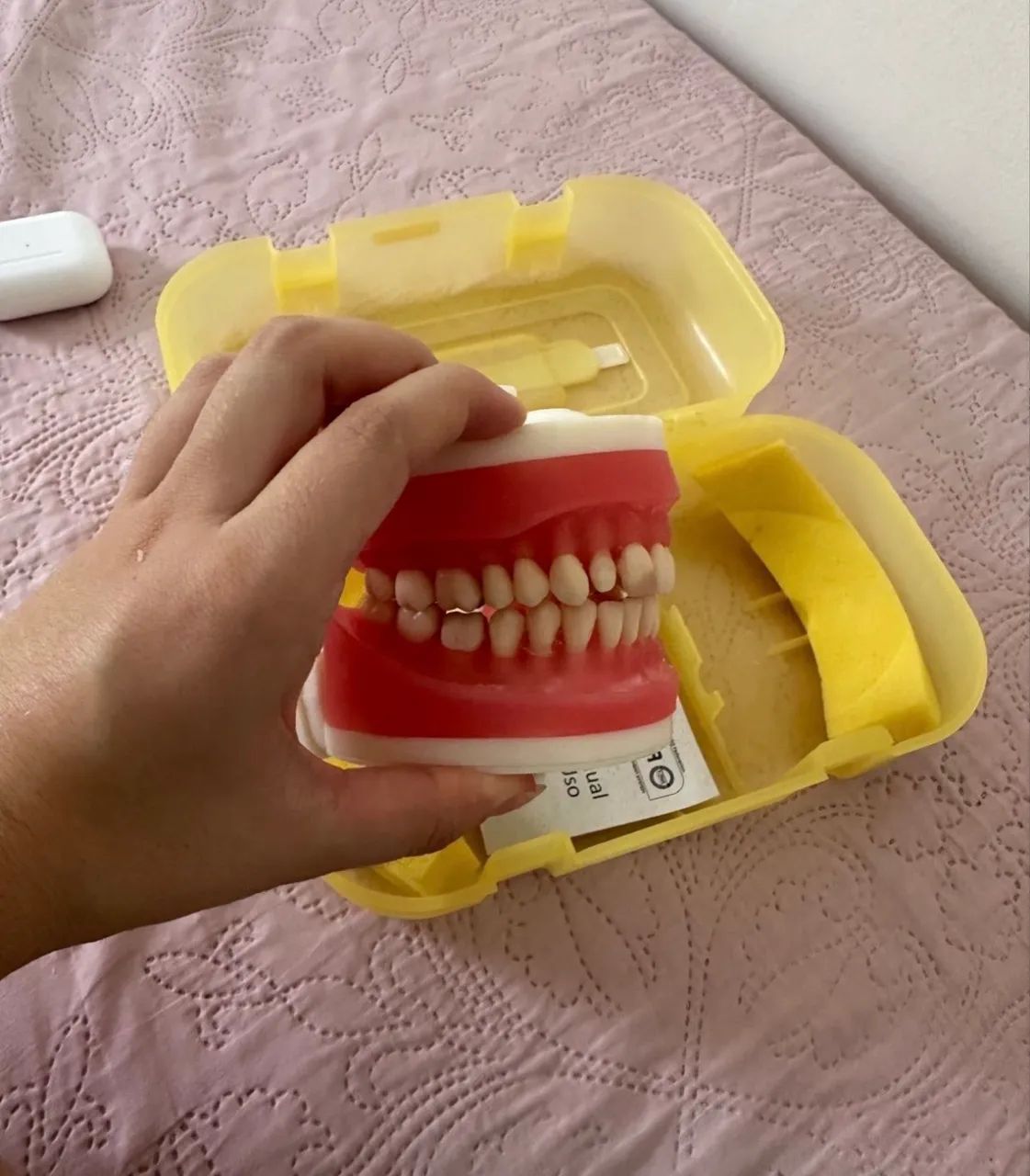Manequim Pronew Dentistíca  - Foto 3