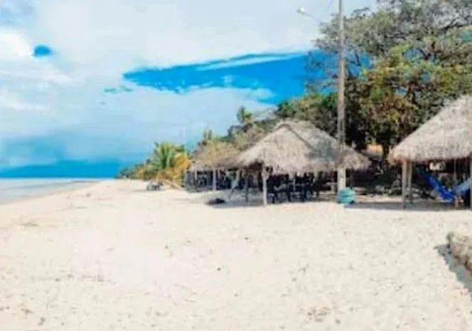 Terreno praiano no Marajó - PA - Foto 2