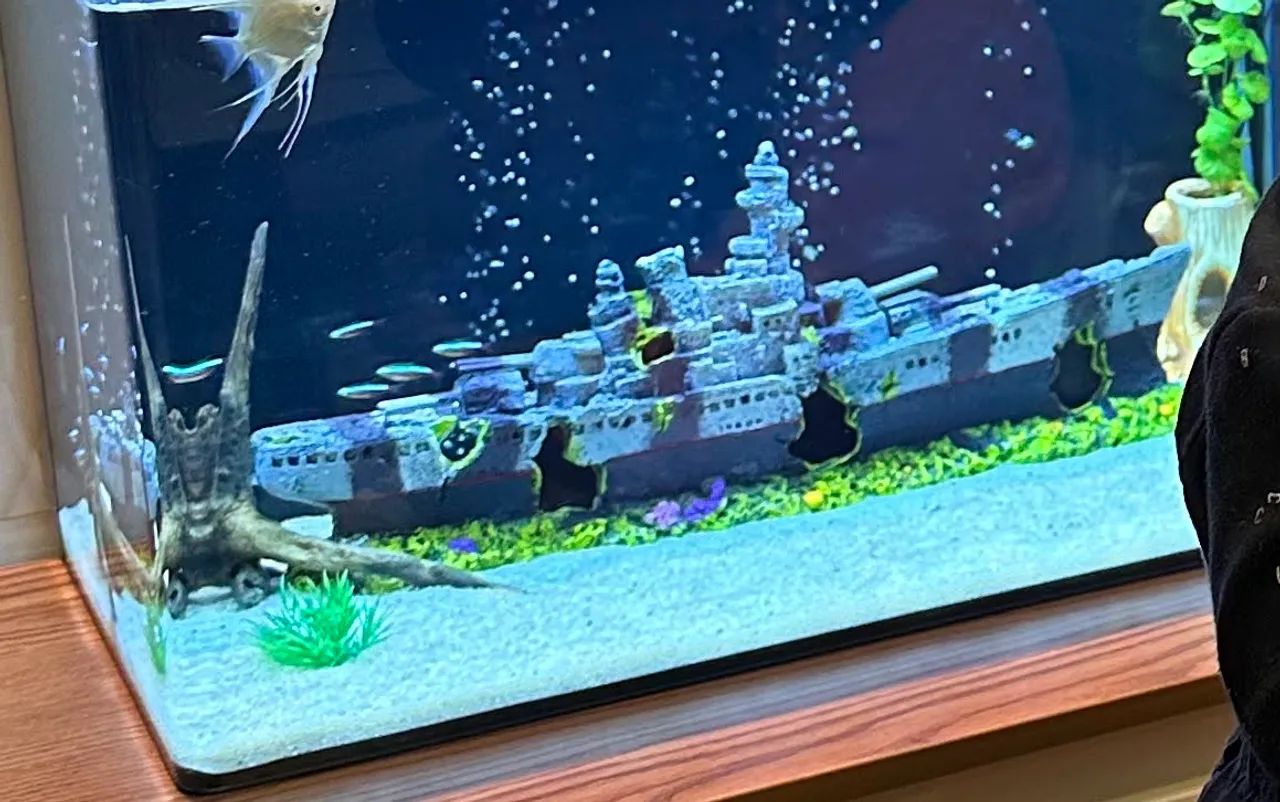 Aquário Curvo 60L em perfeito estado  - Foto 3