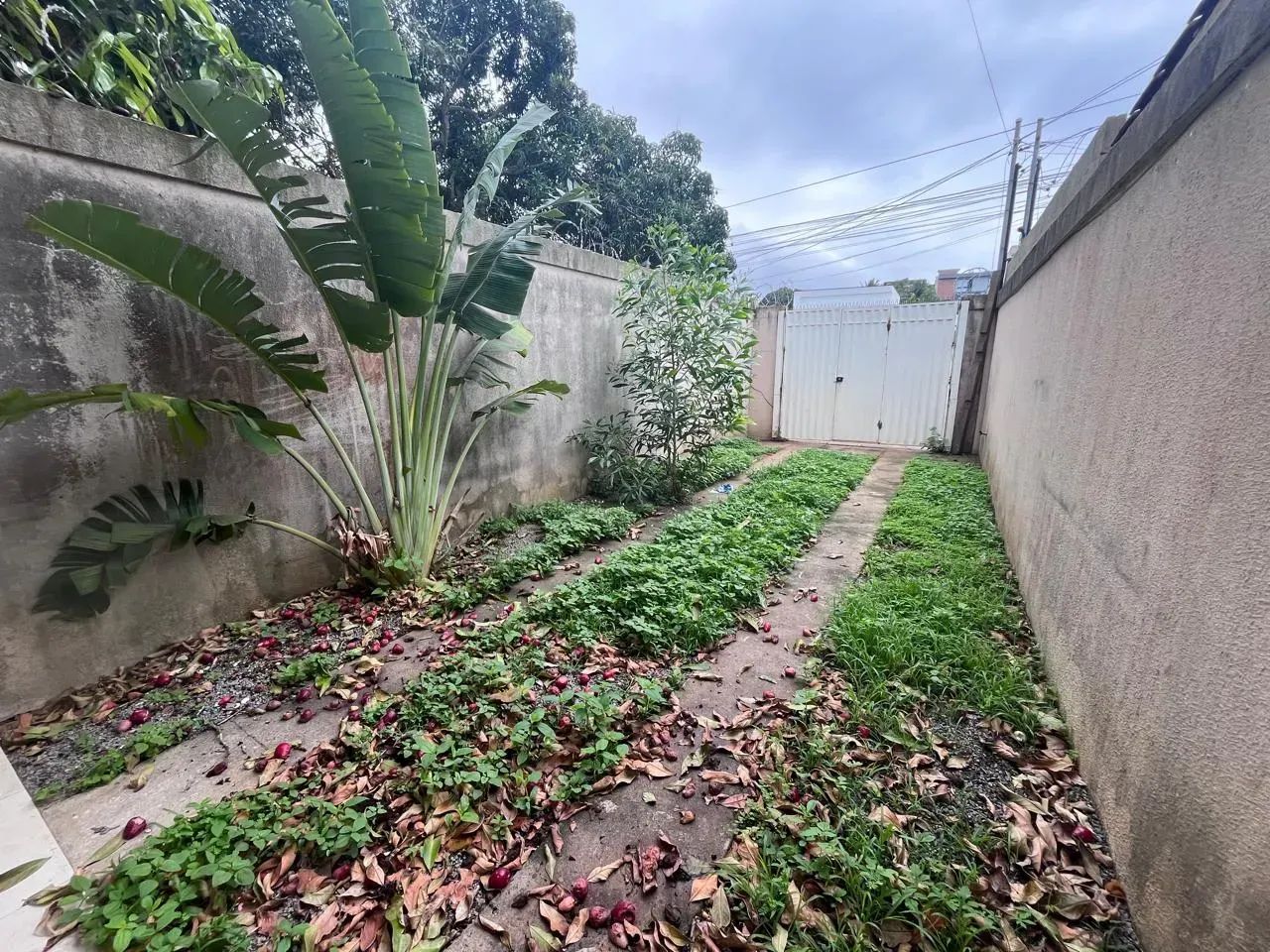 DNO Alugo casa em Jacaraípe - Foto 2