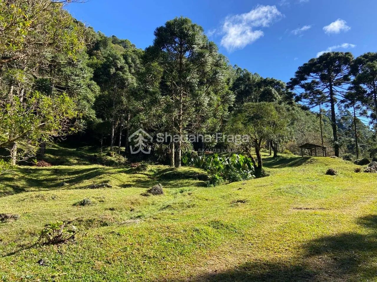 Sítio à venda no bairro Anitápolis - Anitápolis/SC - Foto 3