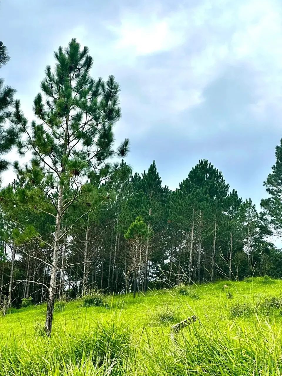Terreno com Vista no Saboó  Condomínio em São Roque - Foto 2