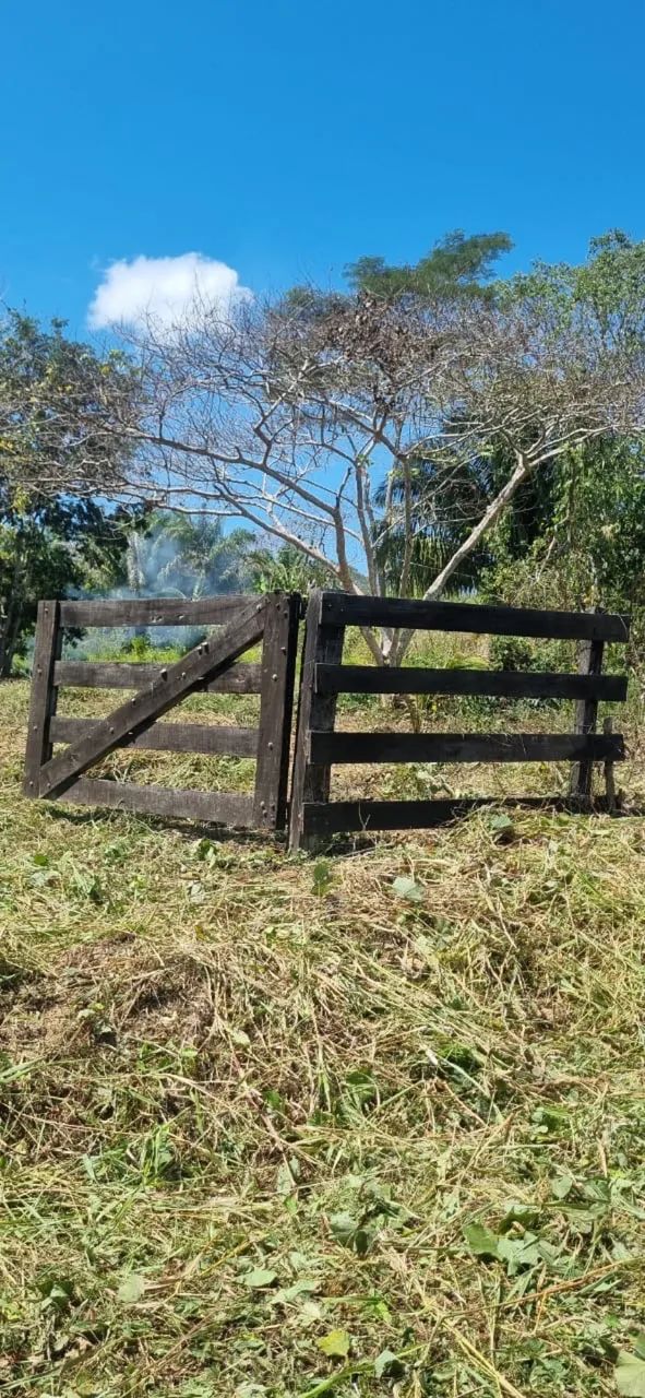 Vende se uma chácara no ac 90 km41  - Foto 4