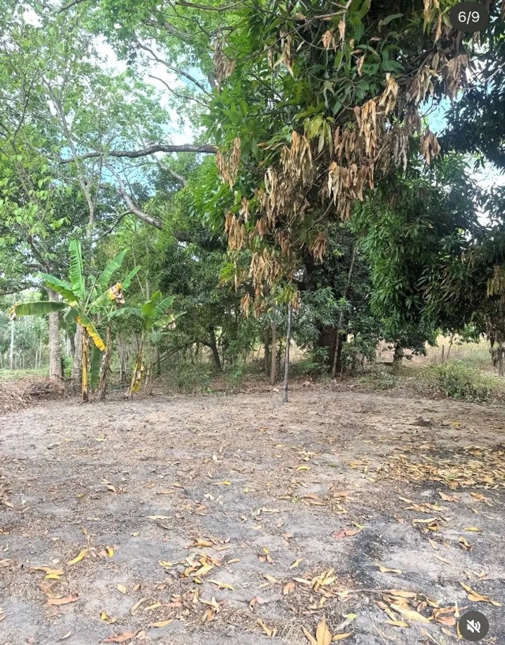 6 alqueires disponível dentro da cidade  - Foto 4