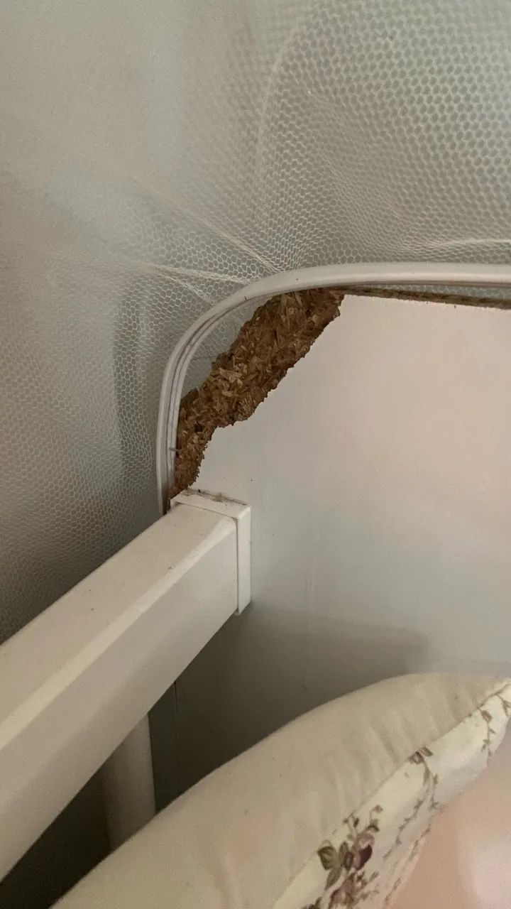 mini berço  - Foto 3