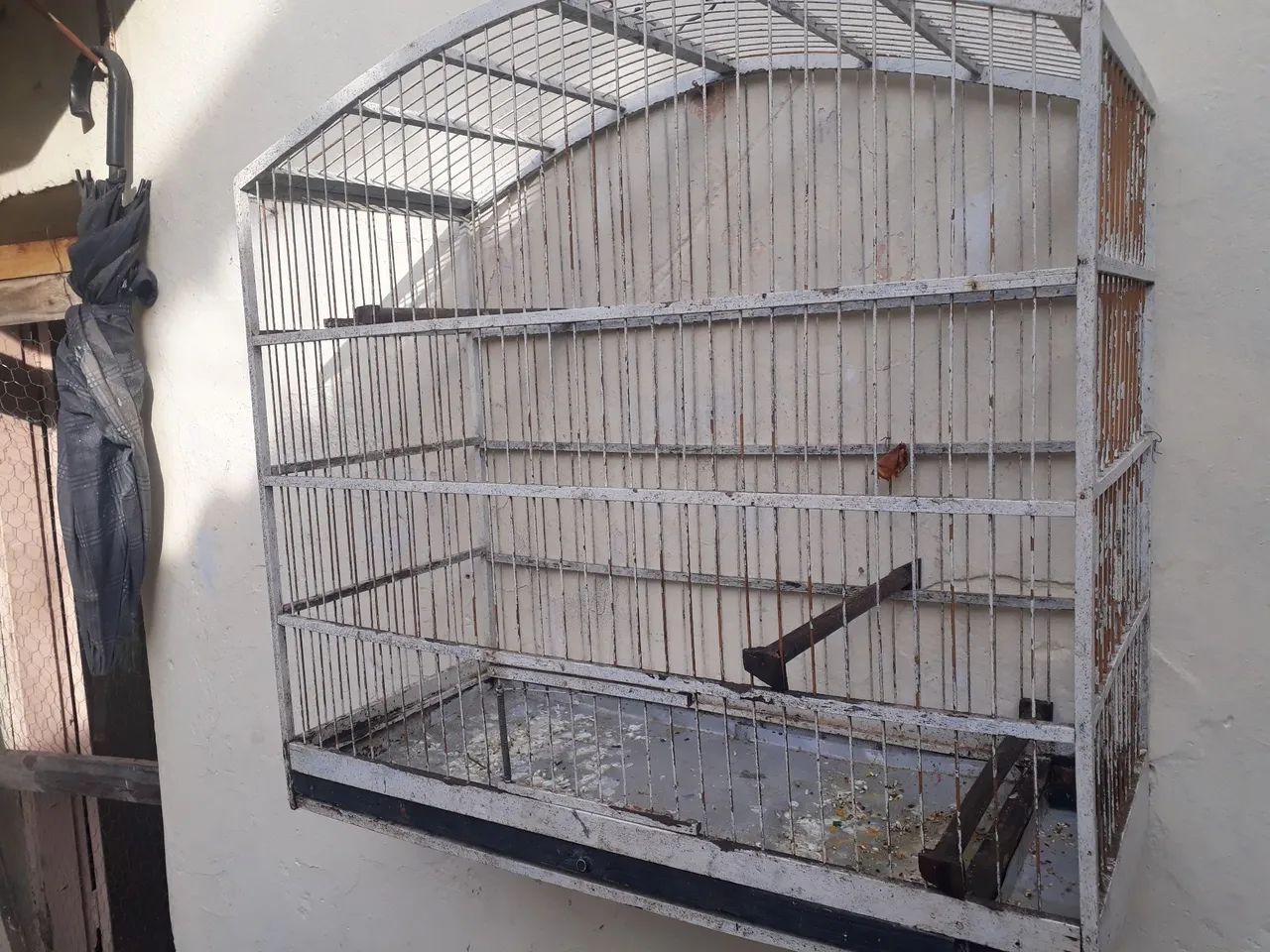 Vendo ótima gaiola grande de trinca ferro e outros. Barata - Foto 3