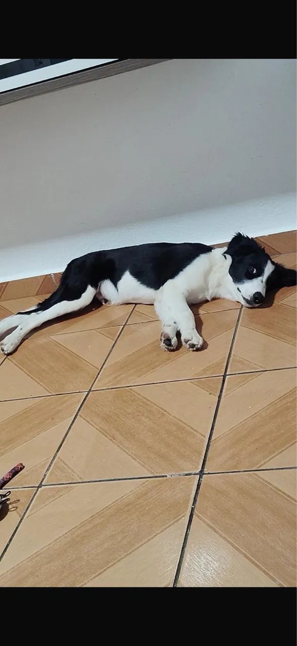 Doação 