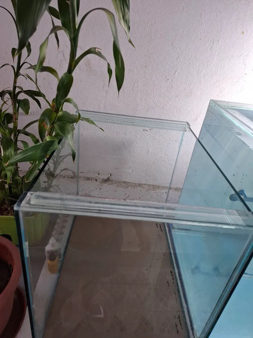 Aquário 74L - Foto 2