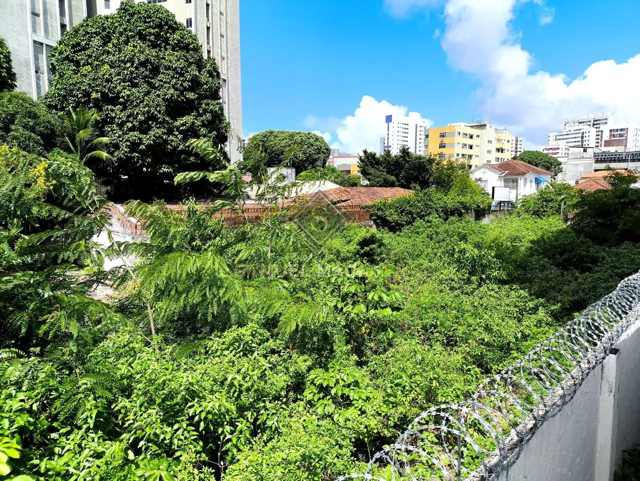 Terreno à venda em Encruzilhada - Recife - Foto 5