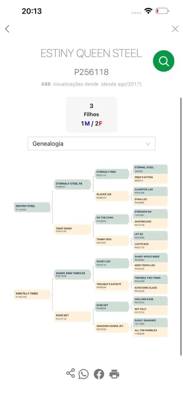 Potra PO a venda - Foto 4