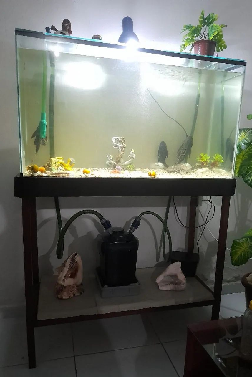 AQUÁRIO COMPLETO 