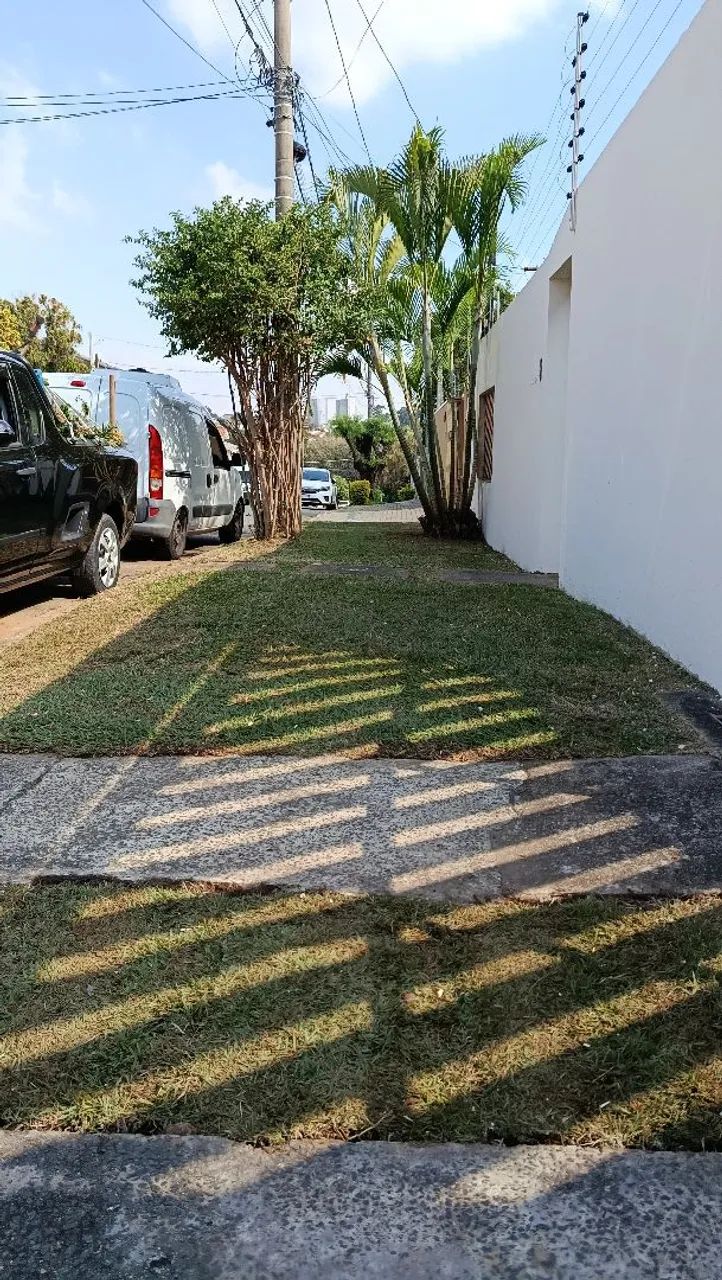 Jardinagem  - Foto 4