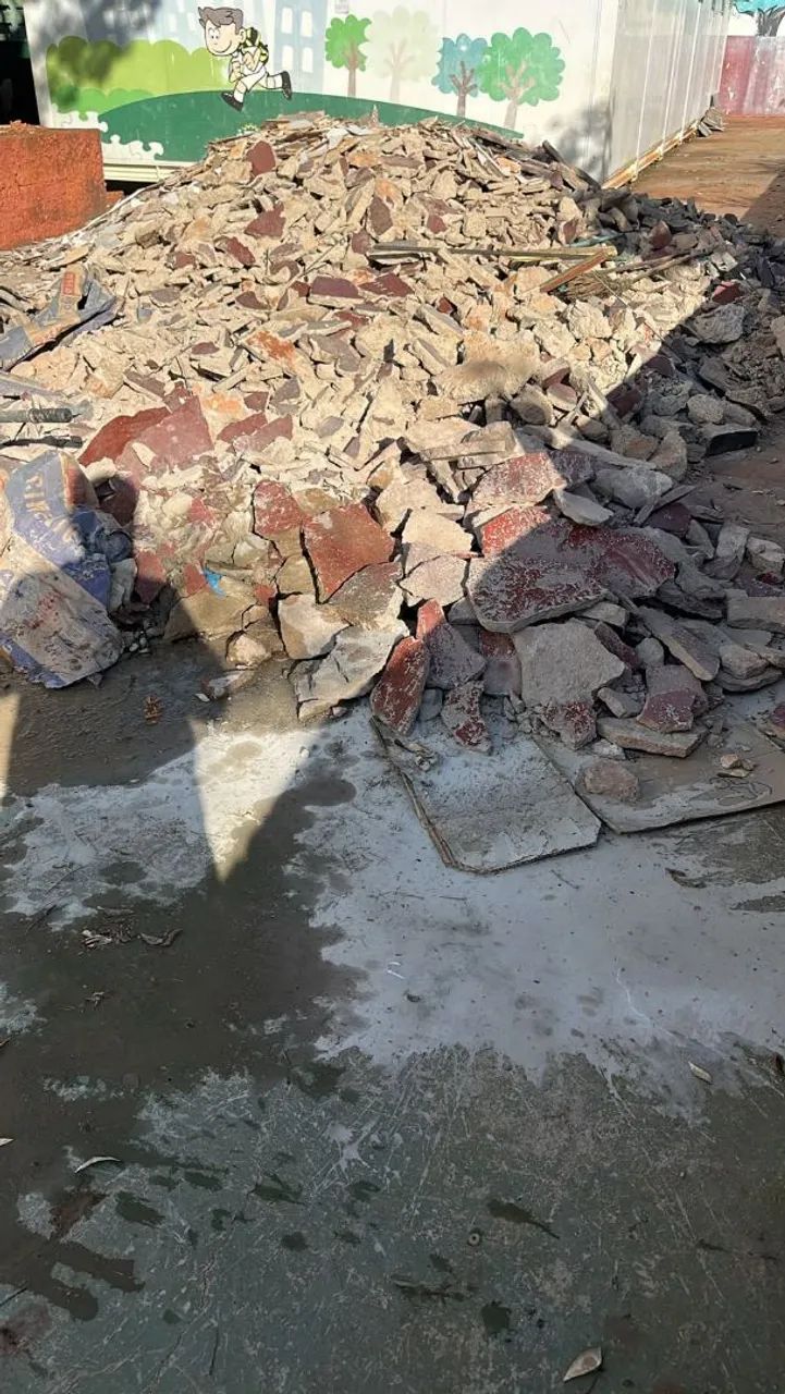 Fazenmos poda de árvore retirada de entulhos - Foto 3