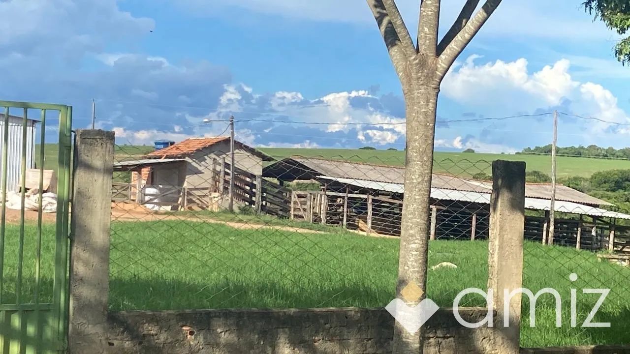 FAZENDA À VENDA  INDIARA/GO - Foto 4