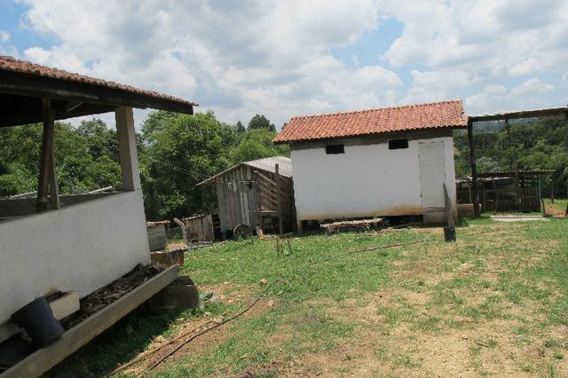 50 metros da Br/ 1 alqueire e 32 litros - Foto 6