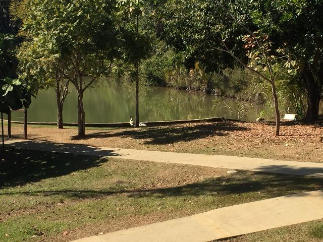 Condomínio jardins lote Madri de 487m², R$ 500 MIL - Foto 5
