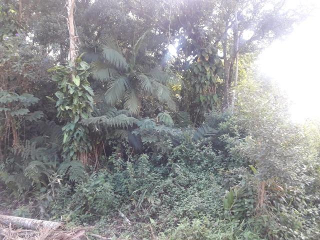 Terreno na Costeira em Balneário Barra do Sul-SC - Foto 4