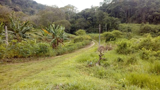 Fazenda Itajuípe - Foto 9