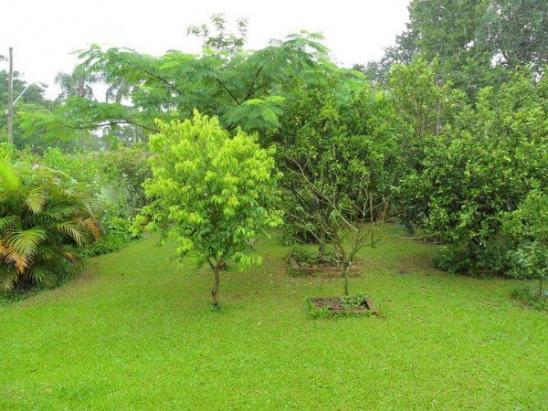 Terreno à venda em Belém novo, Porto alegre cod:MI13170 - Foto 15